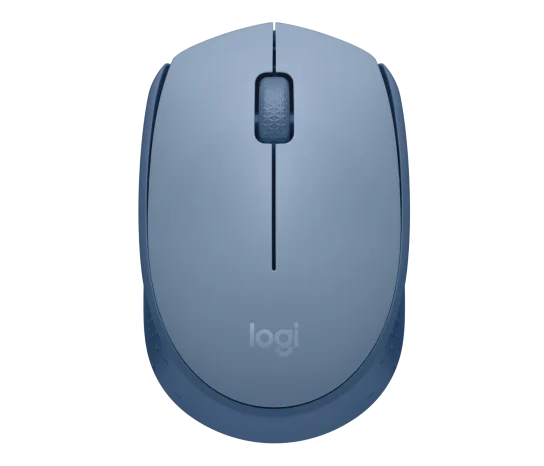 M171 Wireless Mouse - Blue/Grey