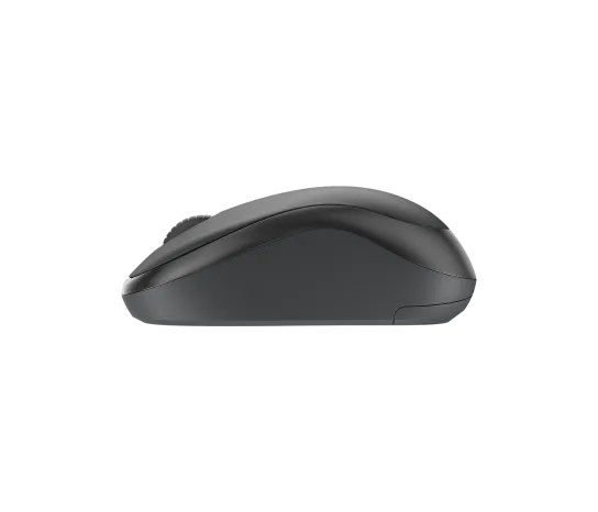 MK295 Silent Wireless Combo