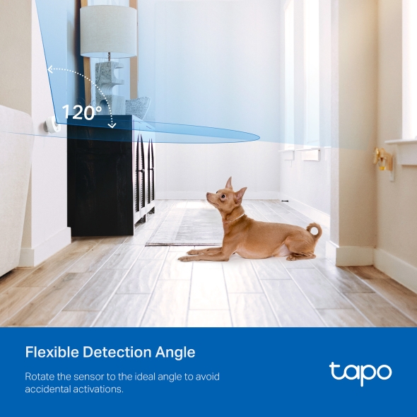 Smart Motion Sensor